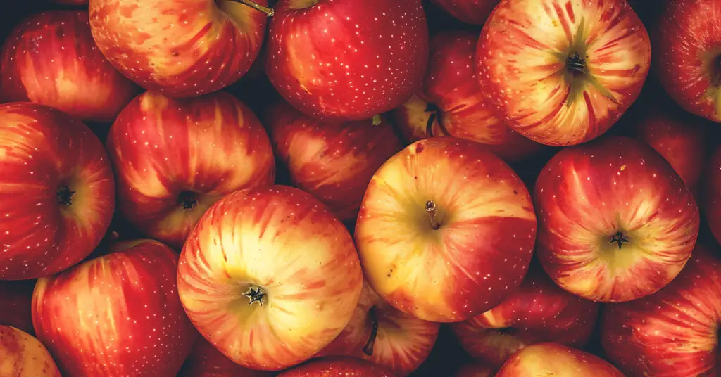 Stelara-Biosimilars-Fight-Market-Share