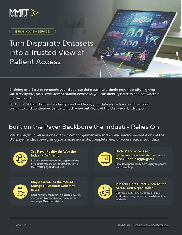 birdging-as-a-service-brochure